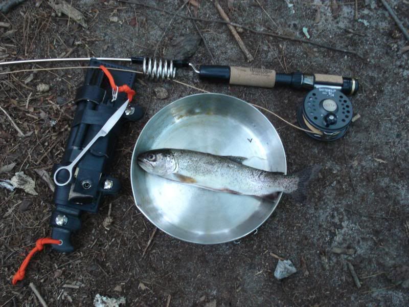 Survival Fishing pole/reel?